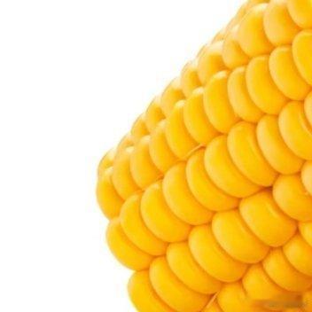 玉米的种植方法一、选地整地：选择地势高、排水良好的地块，提前整地，施加基肥，保证