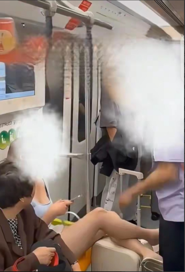 真正的小仙女来了，你喜欢这种吗？上海2号线地铁上，一男子手抓着扶杆，靠边站着