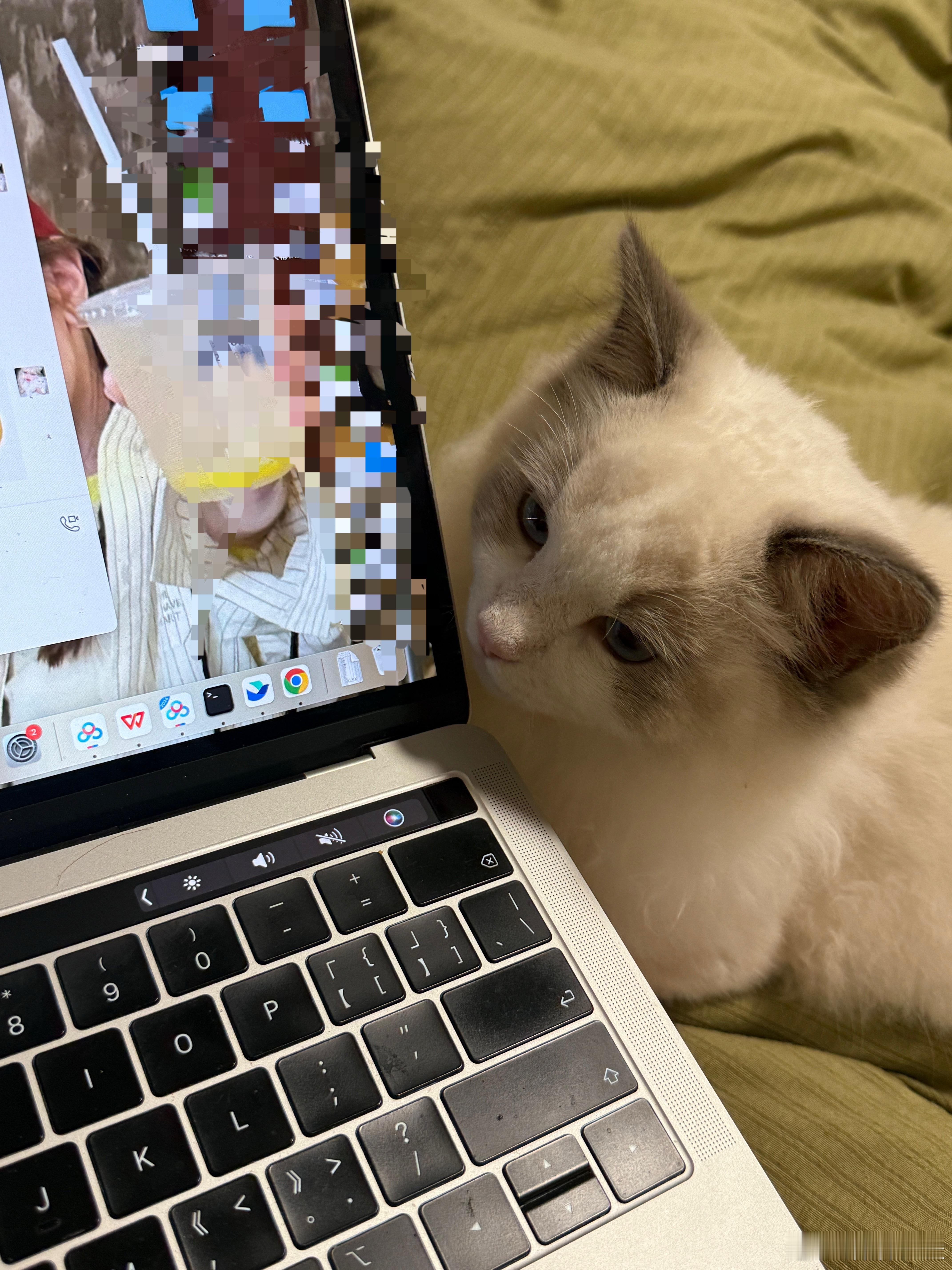 猕猴桃是不是不想让我工作[红脸笑]​​​