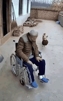 感谢黄狗，终于治愈了老爷子多年的半身不遂！​网友评论：​老头：要不是小黄，我