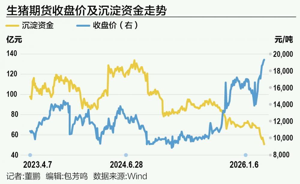 逾百亿资金鏖战生猪期货