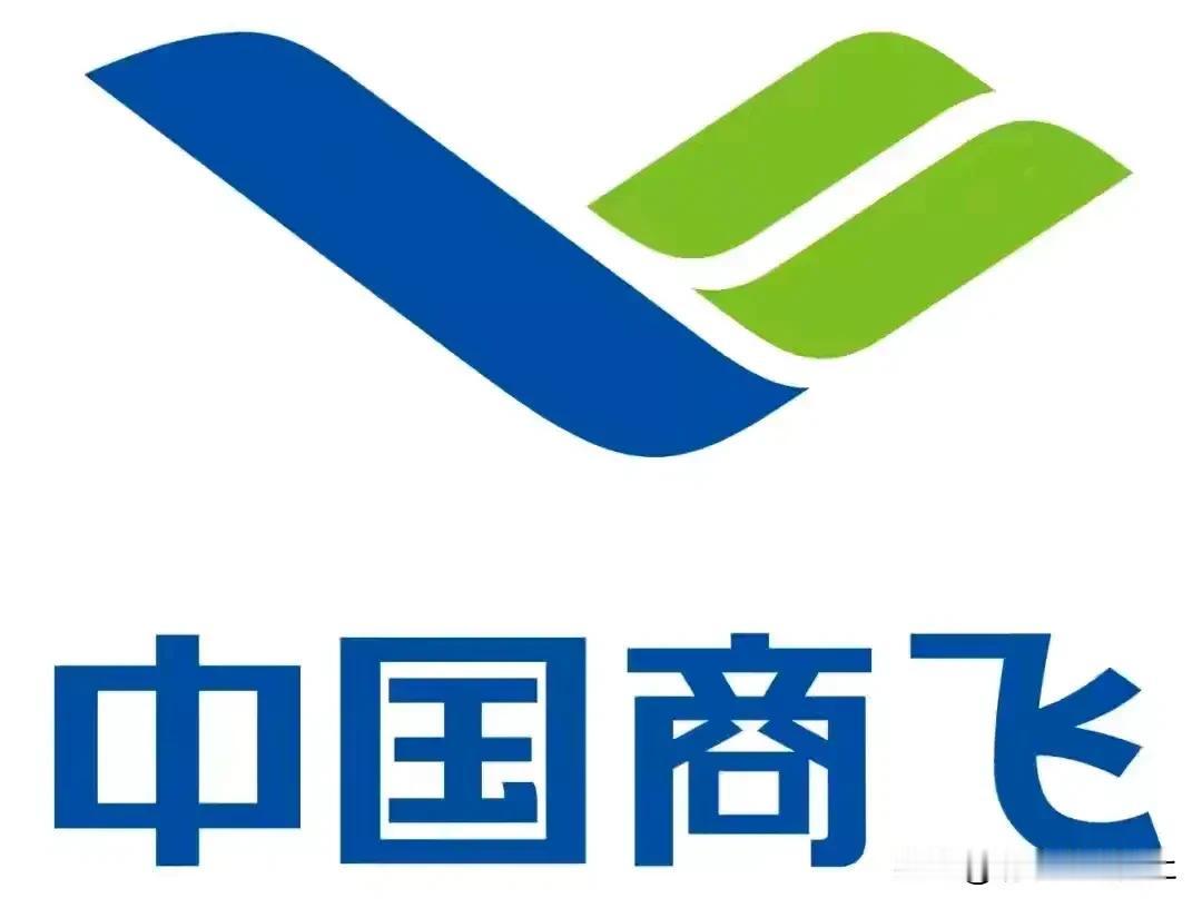 惊艳迪拜航展，偏偏颗粒无收！这就是C919的参展经历！在这场航空界的饕餮盛宴