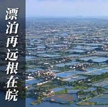 2025年11月21日，两院院士增选结果揭晓，8位皖籍科学家荣耀当选，涵盖中