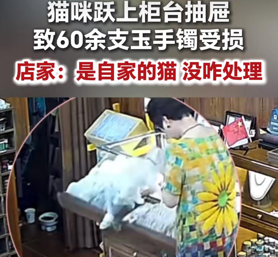 上海一个玉器店的事儿真的看傻了好多人，店里养的猫一下跳上柜台，稀里哗啦碰掉了60