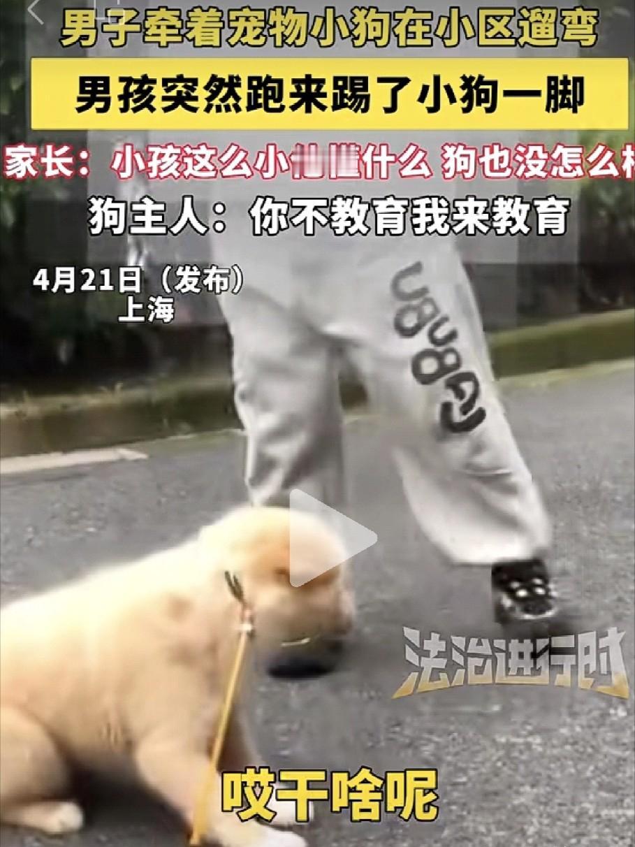 上海男孩故意踢牵绳小狗，妈妈张口就说“他不懂事”，狗主人怒怼：你不教育，我来教育