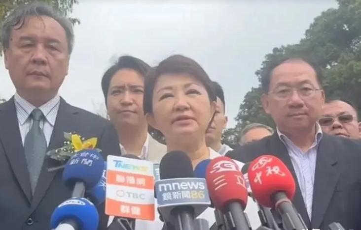 卢秀燕今天受访，正式对外发布访美行程。在整个受访期间，卢秀燕基本都是台独言论，