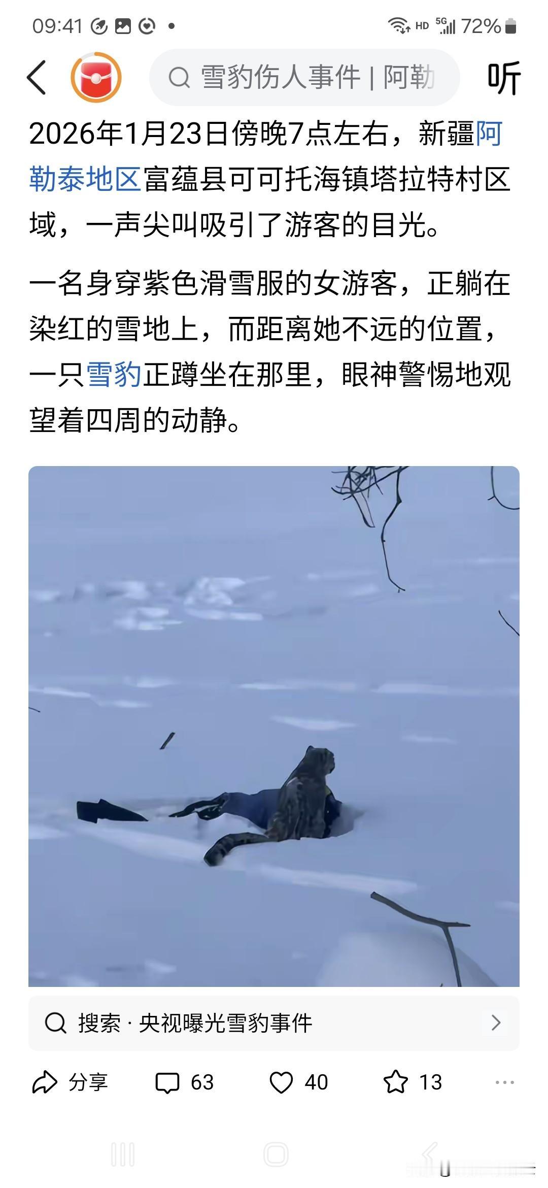 这就是大名鼎鼎的雪豹，我摸它的后颈，它一动不动，因为它从塑形成功后就一直没动过。