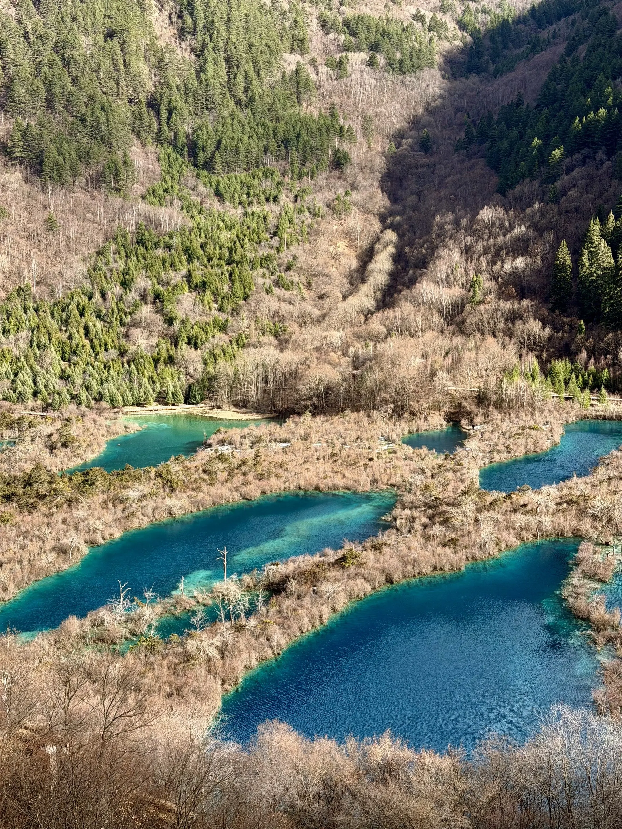 九寨沟树正寨索朗仓。我家住在九寨沟景区内 ，树正寨院子里就是群海观景台