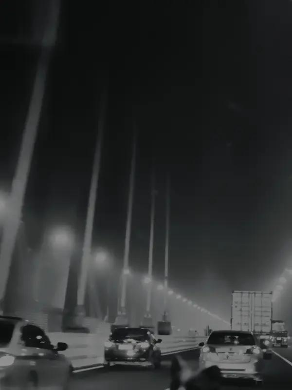 2026年元旦夜，福建泉州湾跨海大桥上，38岁的张先生弃车失踪。他从河南老家到福