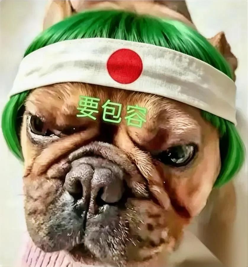 真是笑死人了老胡又跳出来了哦合着北理工罚裴轶还罚错了？他不仅喊着处罚