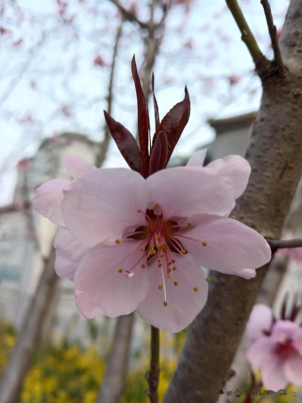 科学难以解释的玄学，照着做能诸事顺遂。这篇文章用生活常识和科学逻辑，把老辈的“