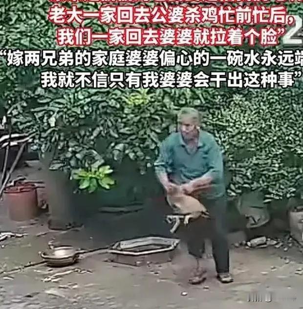 监控里的粽子：二儿媳撞见的偏心真相二儿媳打电话问婆婆“今年包粽子不”，电话那