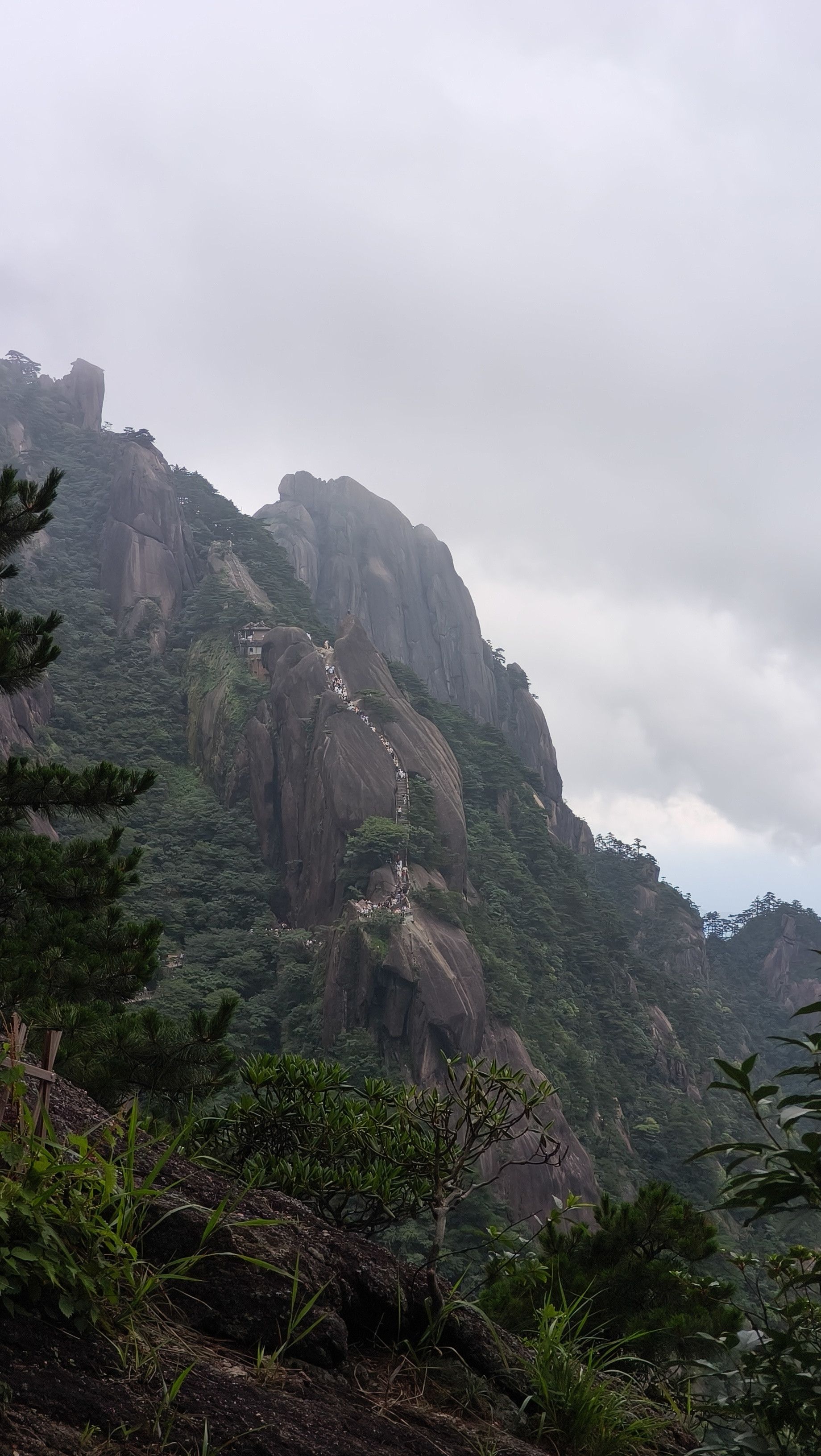 黄山打个卡，三天爬了两座大山，可以说是中当益壮了这里的鱼不知道吃的啥，胖的都游