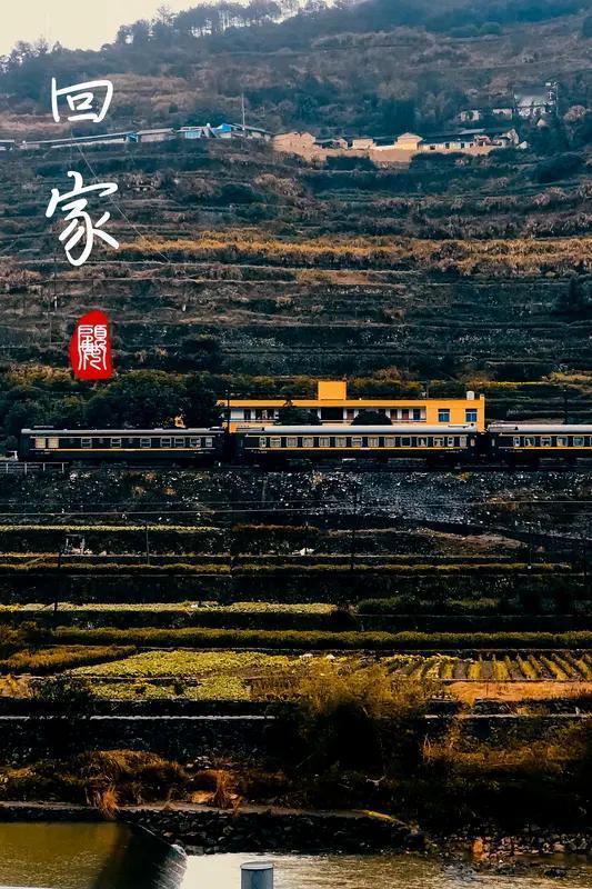 返乡路上，我永远失去了我的孩子：最痛的团圆，是再也回不到家你能想象吗？一家