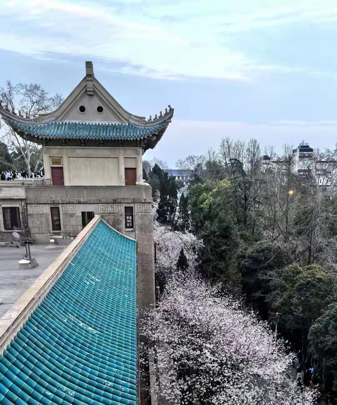 不以为耻，反以为荣，了解武汉大学的历史，你还会去武大看樱花吗？1938年武汉沦