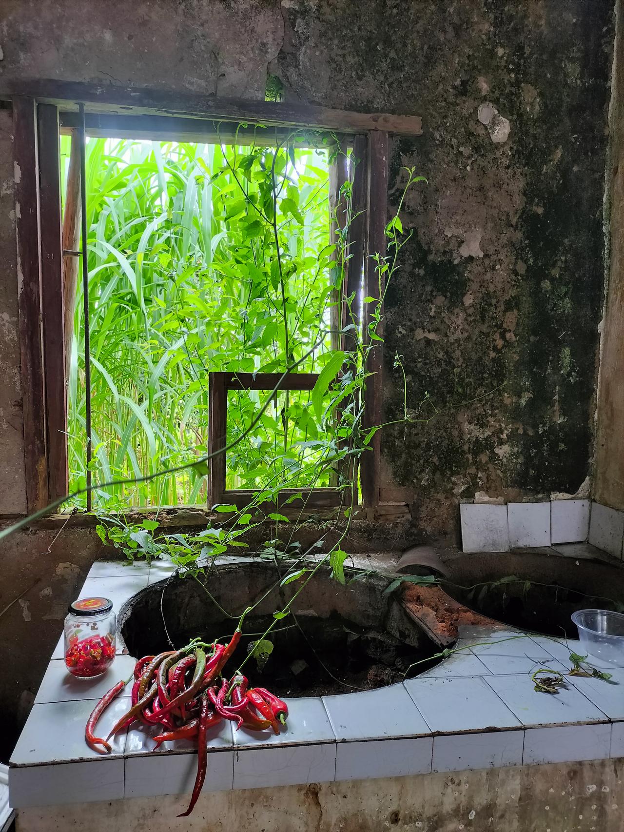 我不知道别的女人离婚之后会不会对前夫念念不忘，我是一点都不想前夫这个人，说白了就