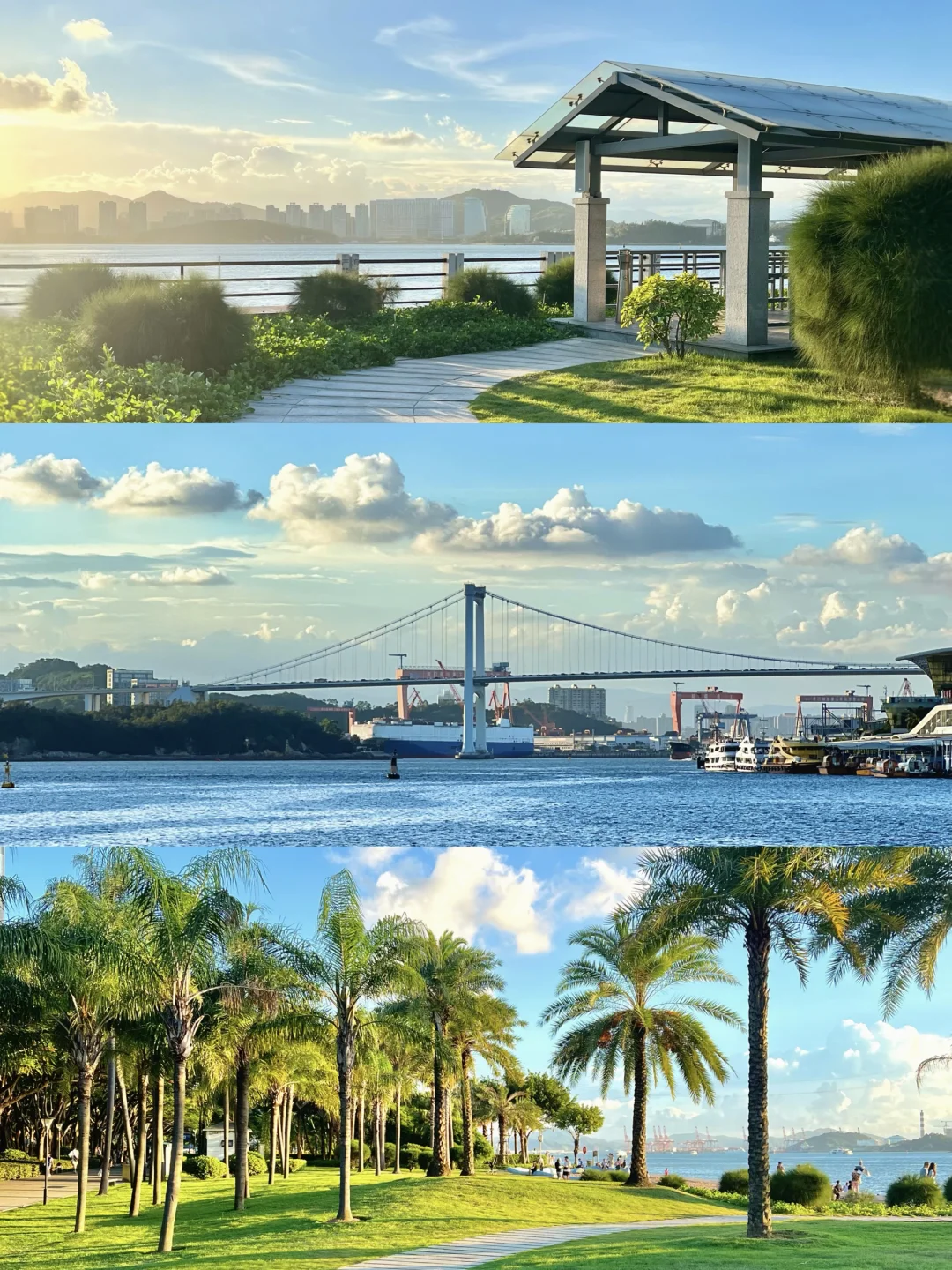 每个来厦门的朋友都会被我带到…（合集版