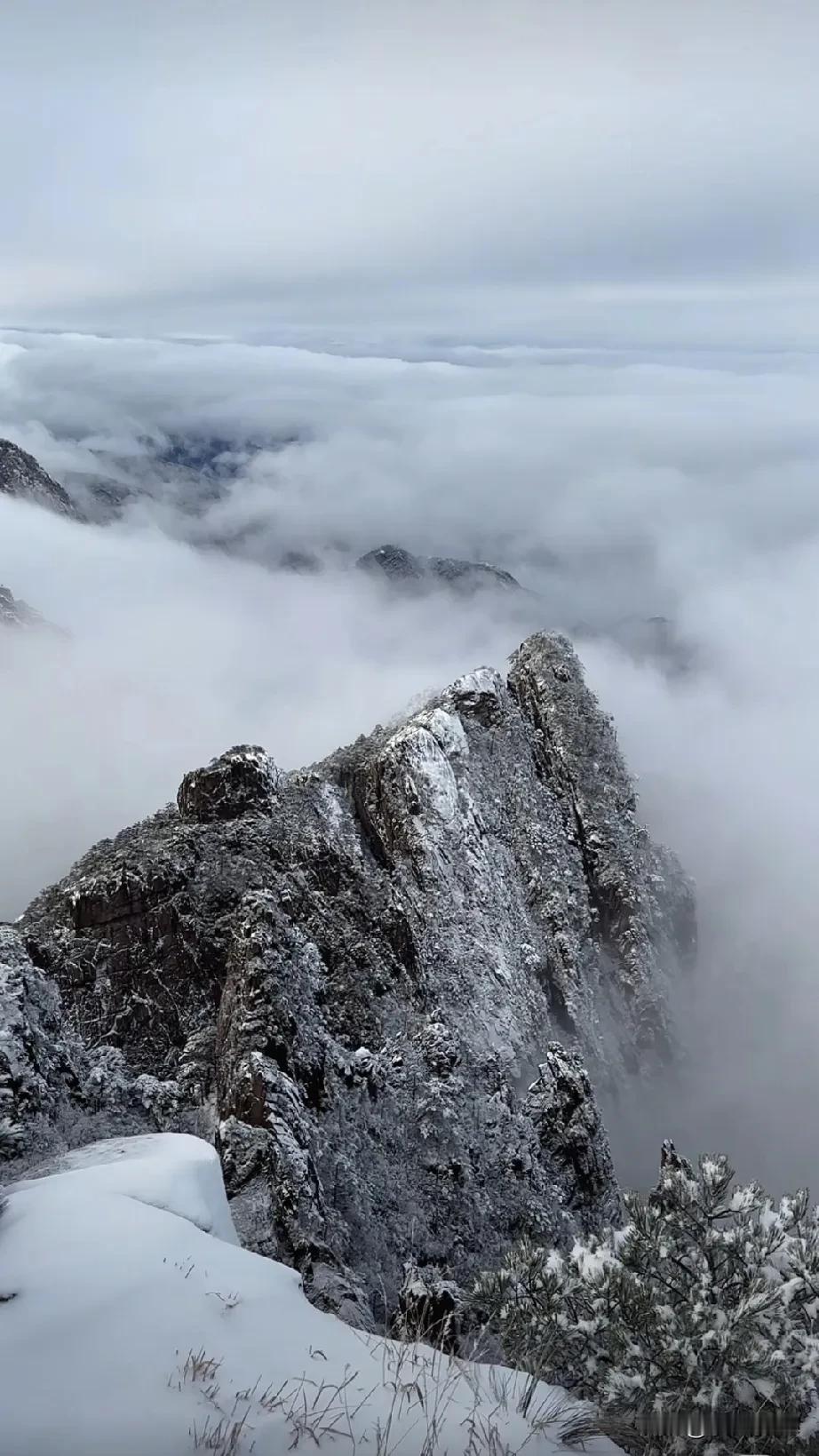 黄山的雪总是那么迷人。今天黄山又下雪了，山下没雪，山上大雪。雪降于黄山，那是一