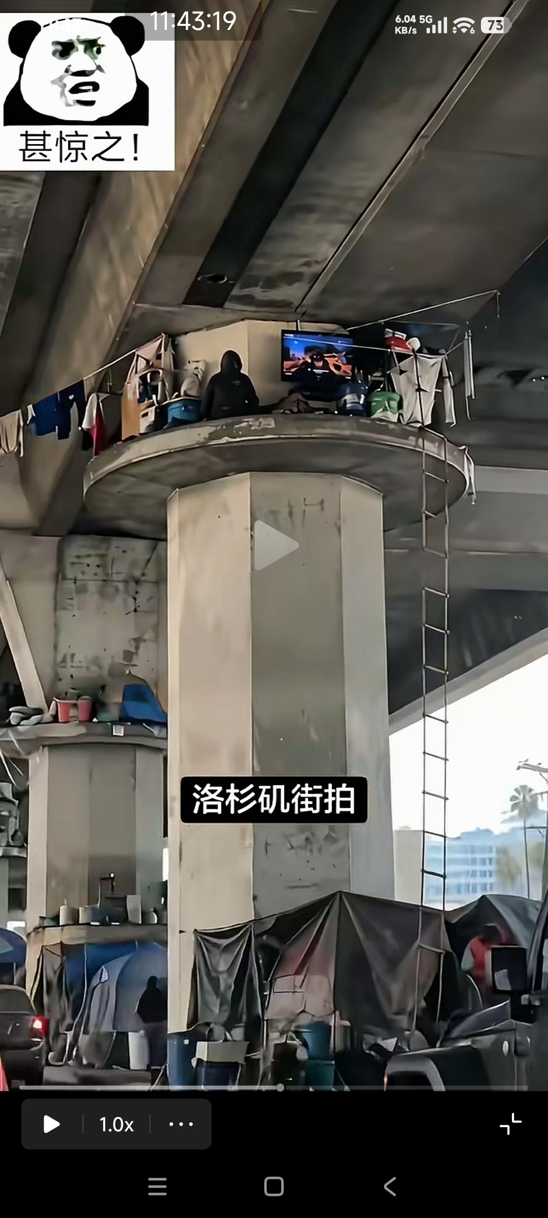 美国洛杉矶的松弛感和自由看这个美国流浪汉在高架桥的柱子上搭了一个窝上面还