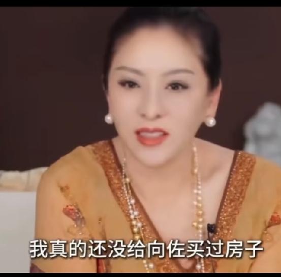 高认知婆婆，向太作为过来人，她是站在儿媳和孙子的位置上考虑问题的。向太认为孩子
