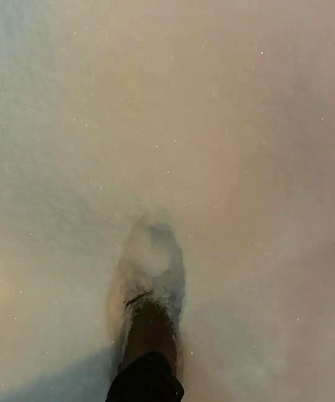 杭州一间商场里一排深色羽绒服像码好的防线,白色那件像异类却被一位九年级女生死死抱