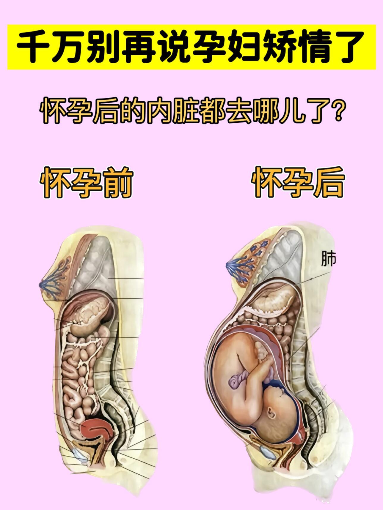 让我看看，是谁还在说孕妇很矫情❓​​​