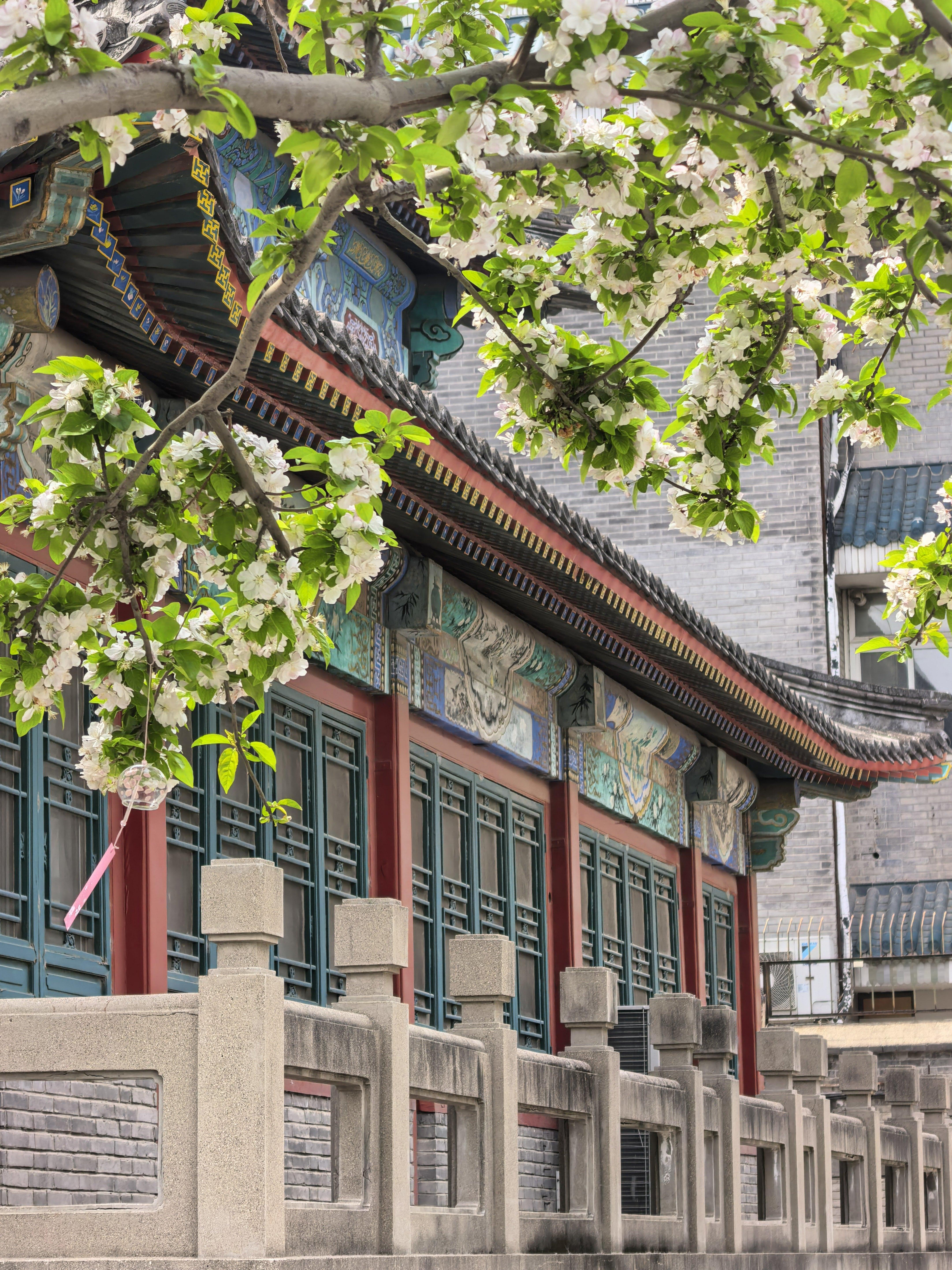 出门到北海公园转了转，找了三个路人帮忙拍照。前两个看着都像是背着包裹从外地来京旅