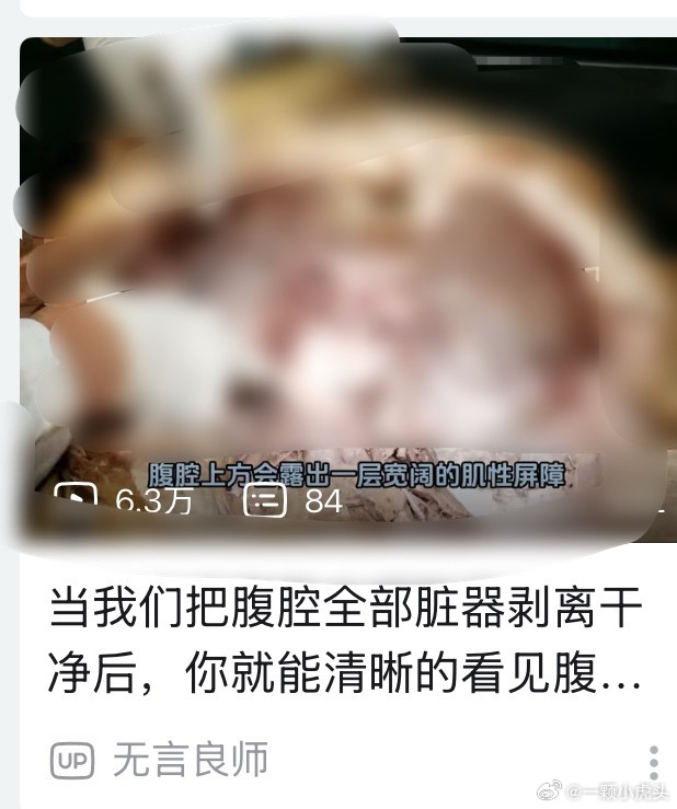哇靠，b站太阴了，这种也能发上来吗？
