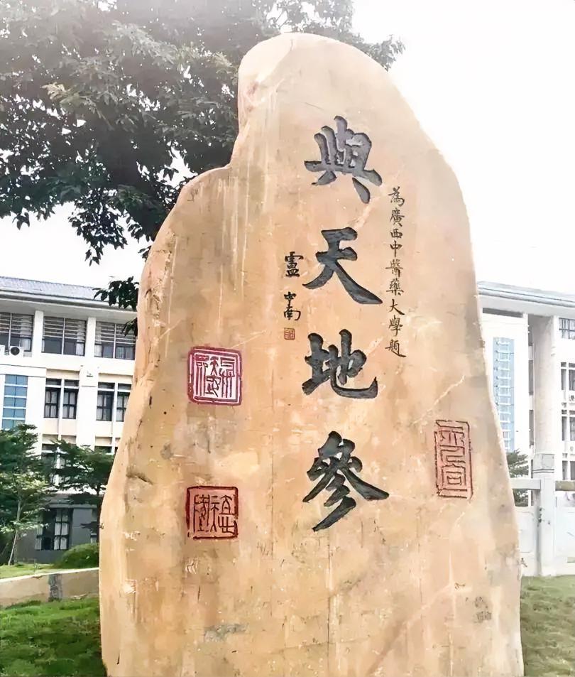 这块石头上的四个楷书大字是卢中南先生所写，当代的楷书大字还是很少见的，尤其是像卢