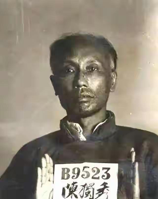 陈独秀晚年感慨：我一生最后悔的，不是选错路，而是忘了看看脚下。这话听着简单，