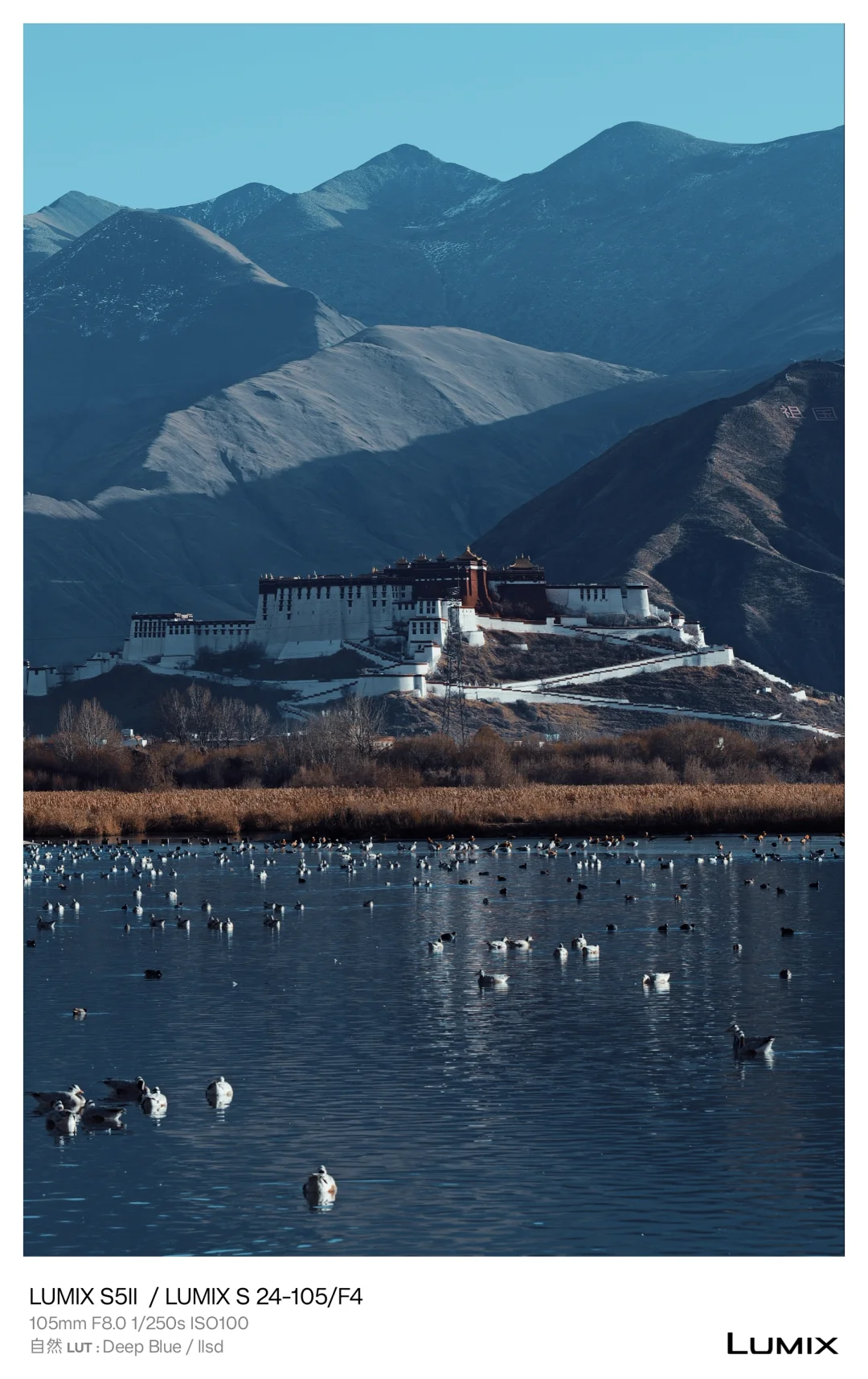 拉萨游记|拉鲁湿地北门的布达拉宫黄昏