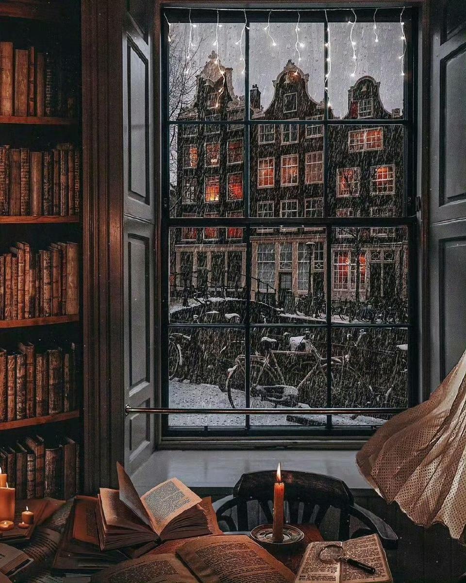 閱讀窗景冬天聖誕