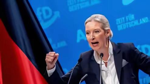 震动整个欧洲！德国选择党党魁魏德尔在竞选集会的时候放出一番重磅表态。别人都在