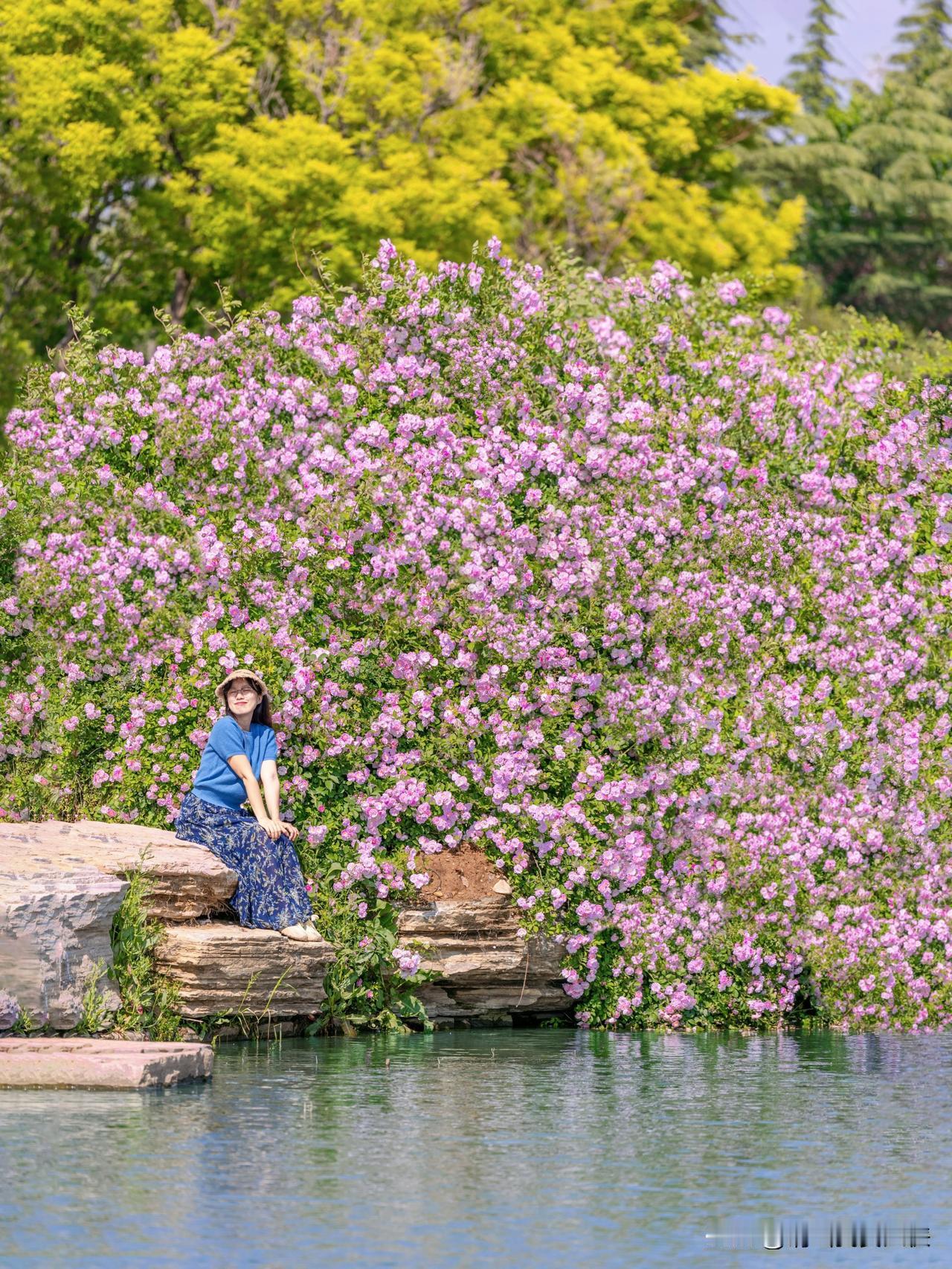 🌸来青岛看演唱会的朋友一定要留2天给城阳一场场演唱会在城阳开唱，让很多外地