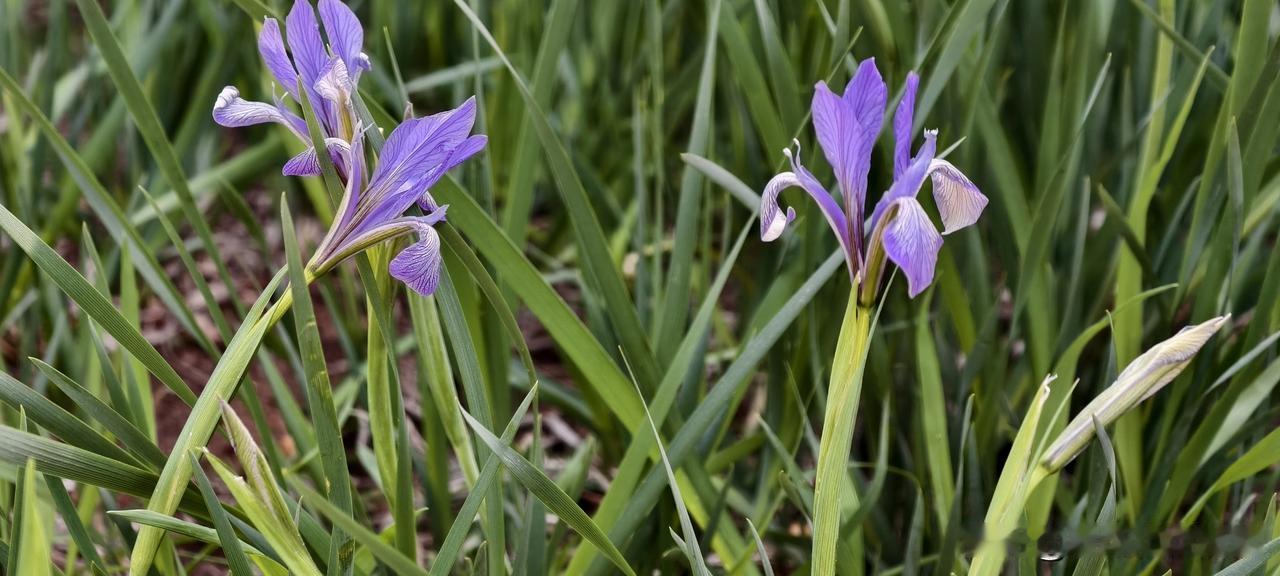 就因为多问了一句“你最近是不是太累了”，我们部门少吵了十次架我们部门有个同