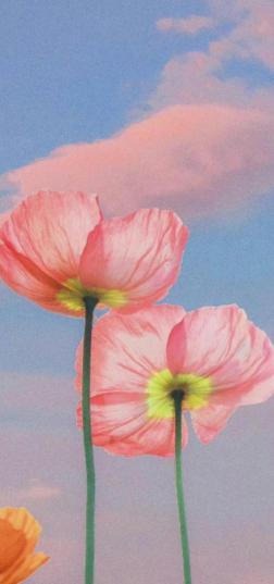 性学专家说：考察一个男人，就叫他去开车。看一个女人，就带她去游泳。这