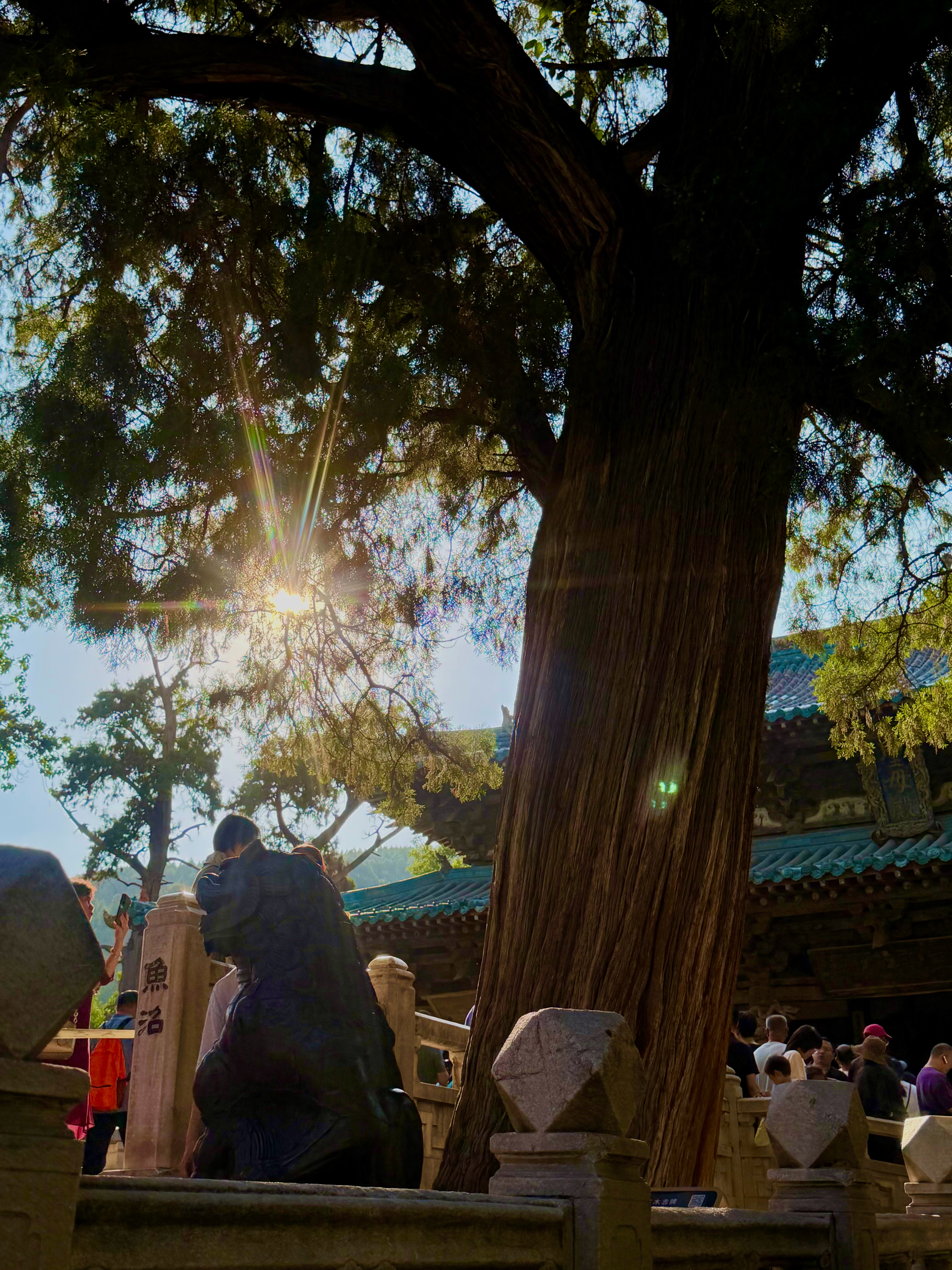 🌿太原·晋祠