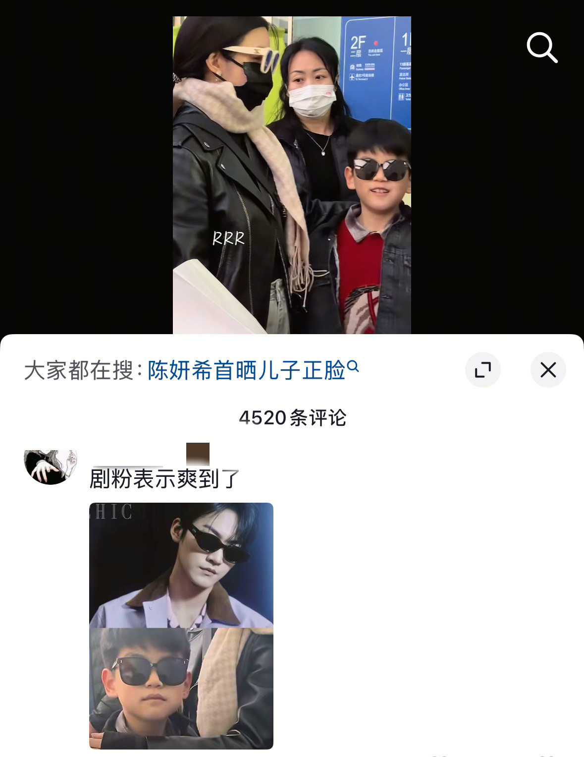 这个评论区给我看傻了