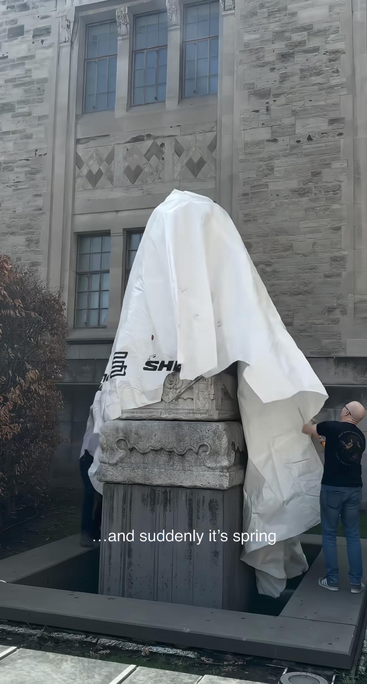 加拿大博物馆外的中国石狮子，是八国联军强走的，中国老祖宗的审美，绝了。这可真是连