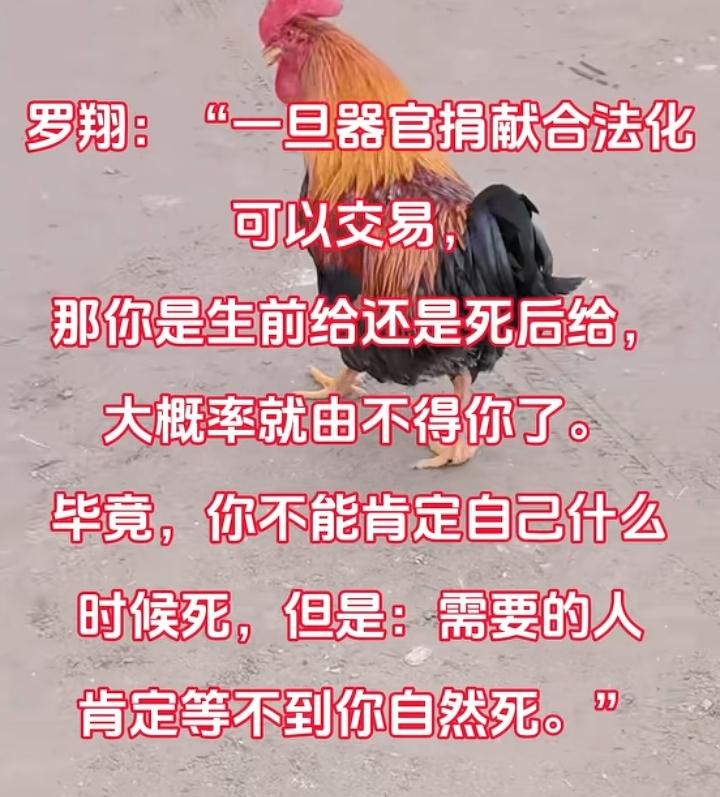 我有一个大学同学是熊猫血，但是他有小三阳，有一次我们班上组织去献血，血站的工作人