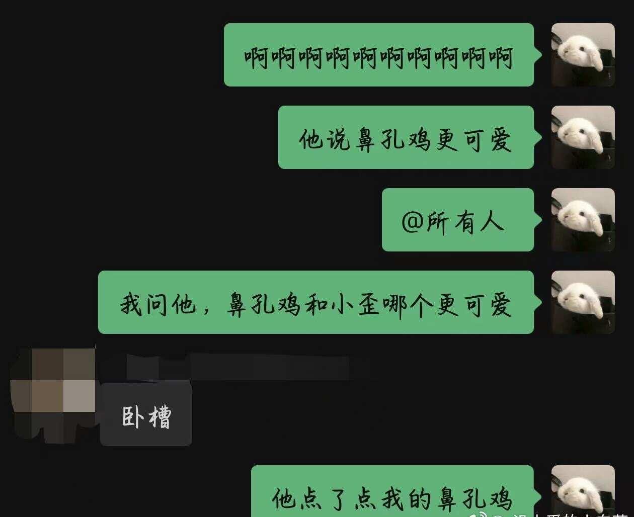鼻孔鸡获胜哈哈哈哈哈丞lz刘轩