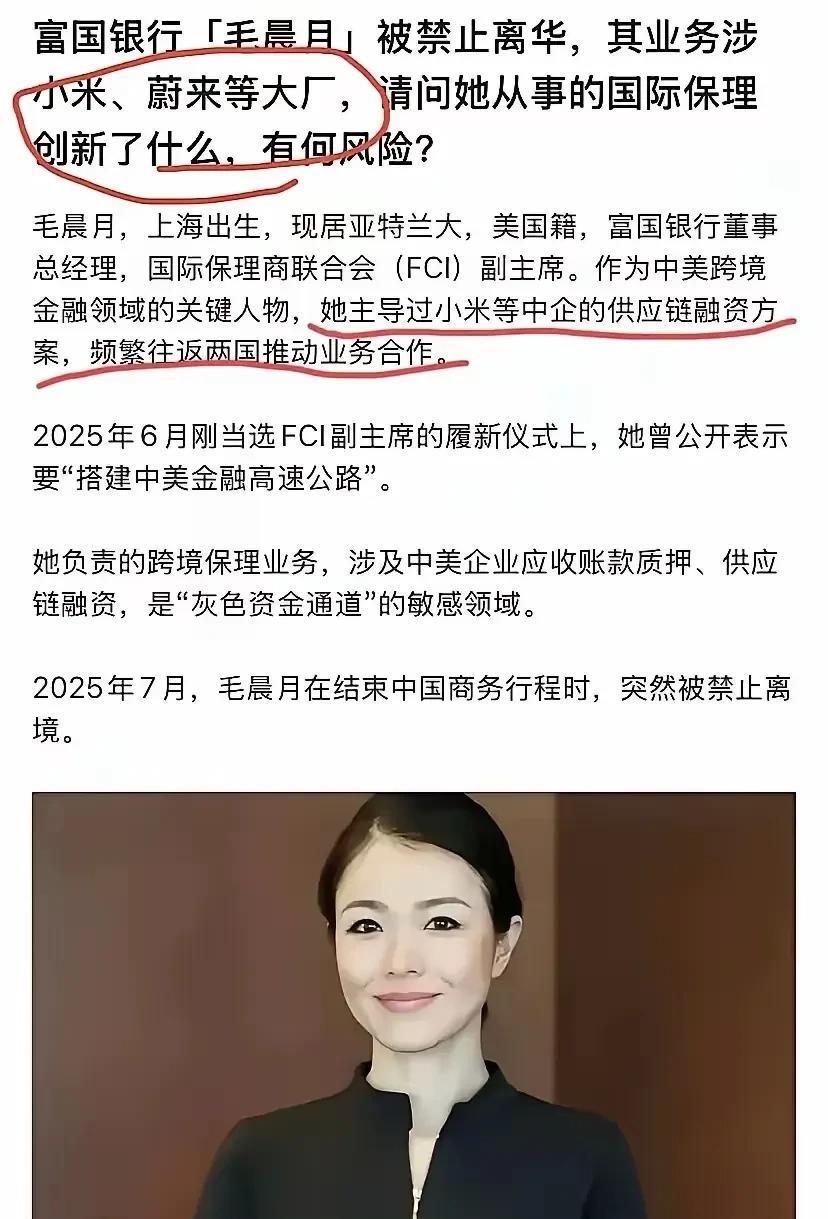 毛晨月来到中国被禁止离境，因为她在中国犯了事，可能犯的事还不小。虽然她出生在中国