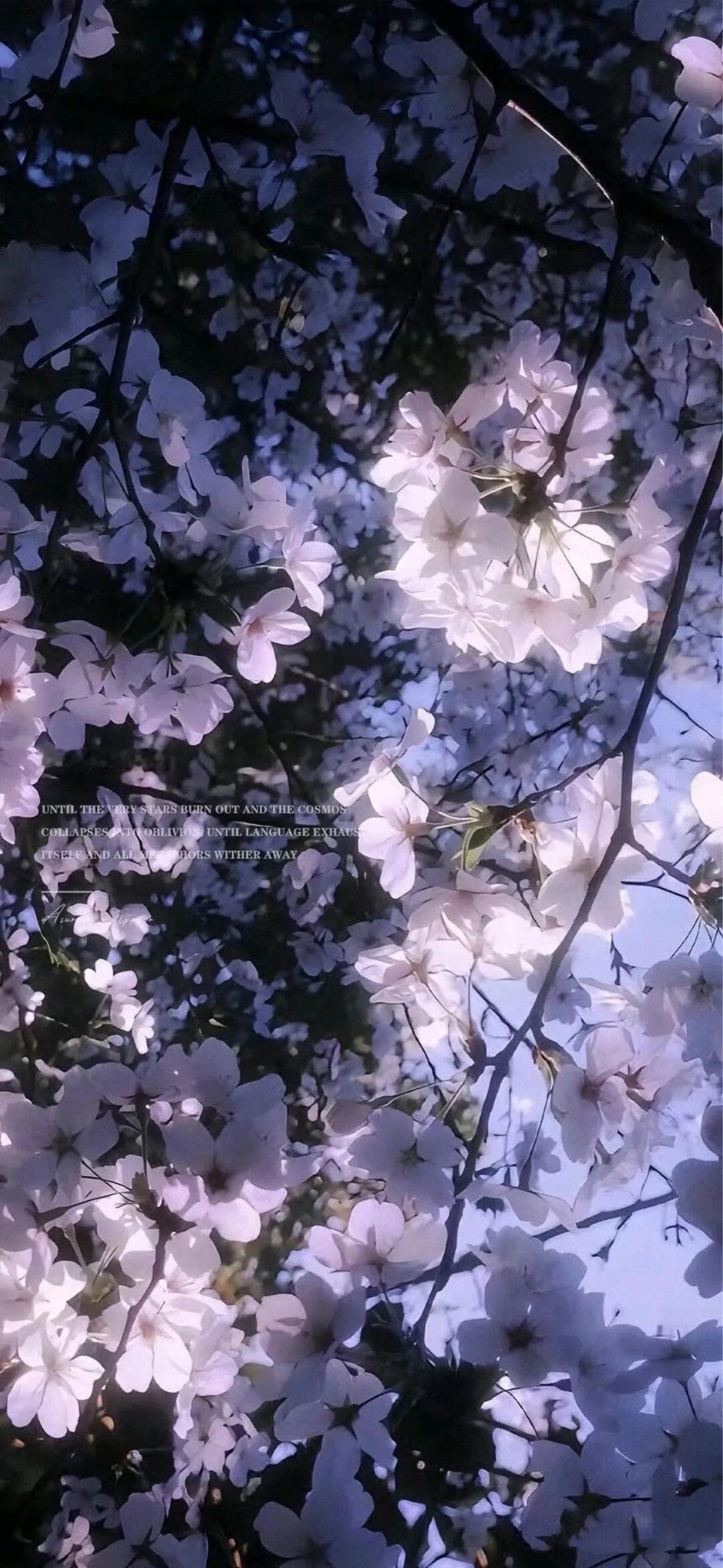 让你的手机锁屏立体效果拉满的景深壁纸！