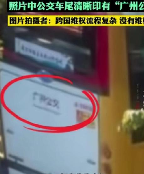 又一奇葩！网络上一张风景照在韩国社交媒体上迅速走红。照片里是高楼林立、绿树成