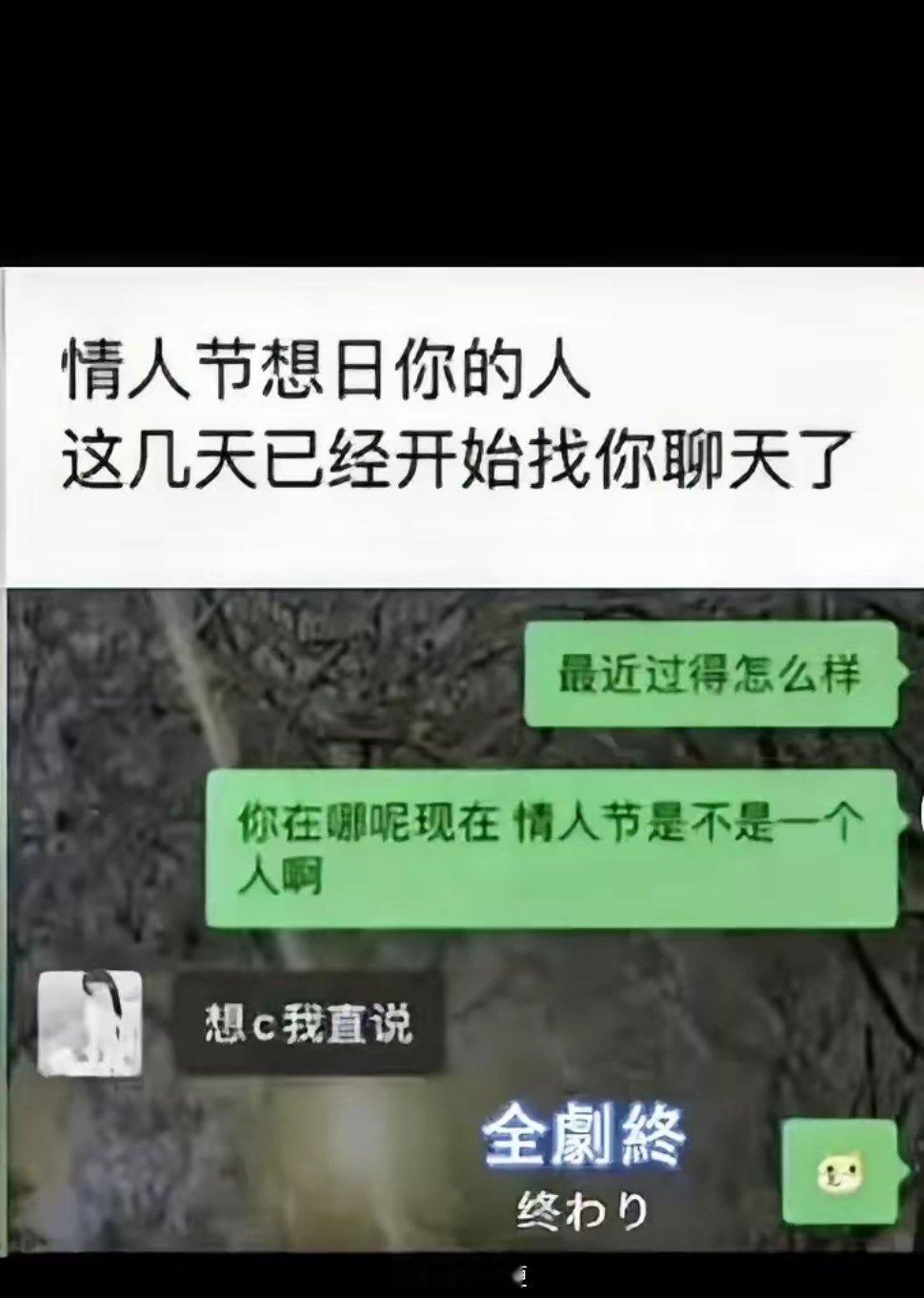 情人节，表白成功了吗？