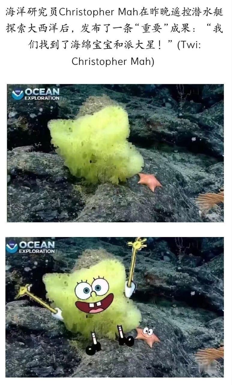 哇哦