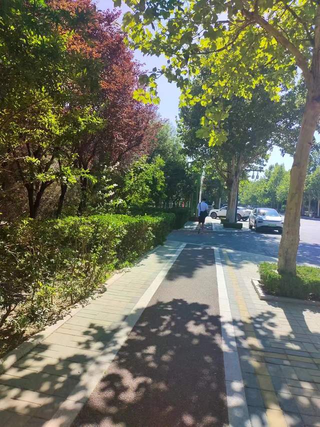 <em>孙桐林</em>已经与山东高速男篮合练 希望利用经验帮助球队