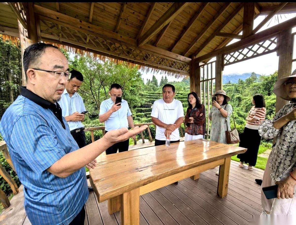 蒋高明团队种出的粮食产量从每公顷11.43吨涨到了17.43吨。这些粮食在地里