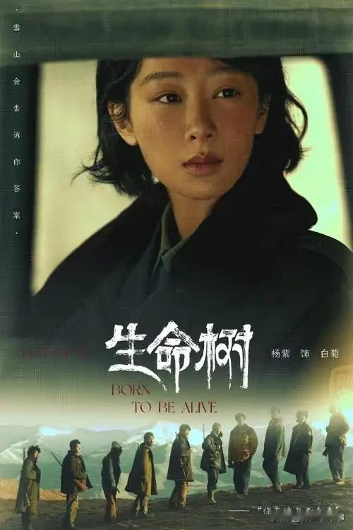 看完《生命树》，我差点把手机摔了——不是因为它不好，而是因为它活生生揭开了娱乐圈