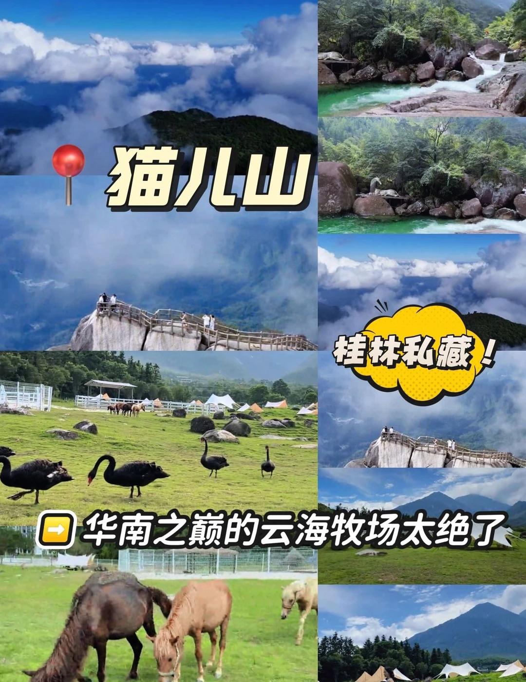 桂林私藏！华南之巅太绝了🌤️桂林居然有座能同时解锁云海、牧场、峡谷的户外秘境